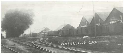 porterville citrus association