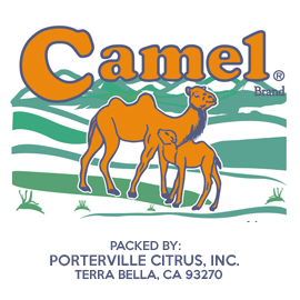 Camel