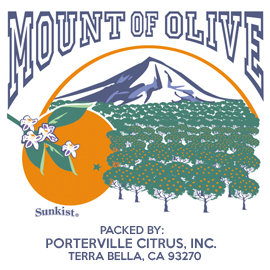 Mount of Olive